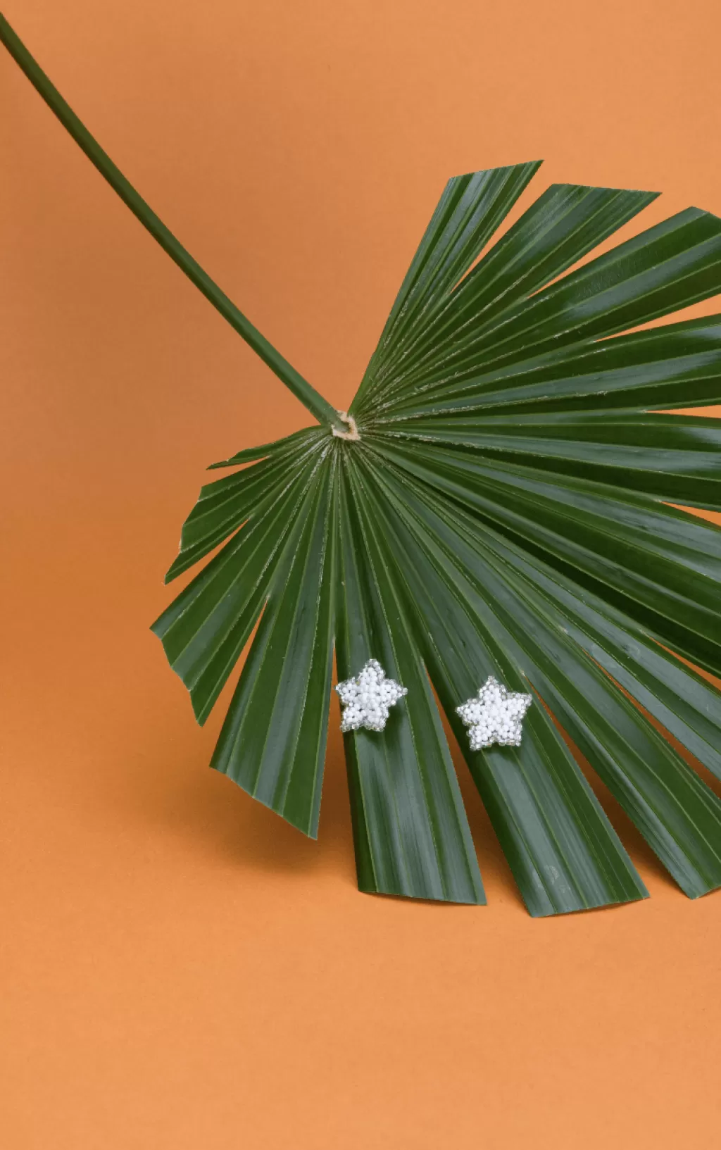 New Casa Clara Flora Studs Blanca