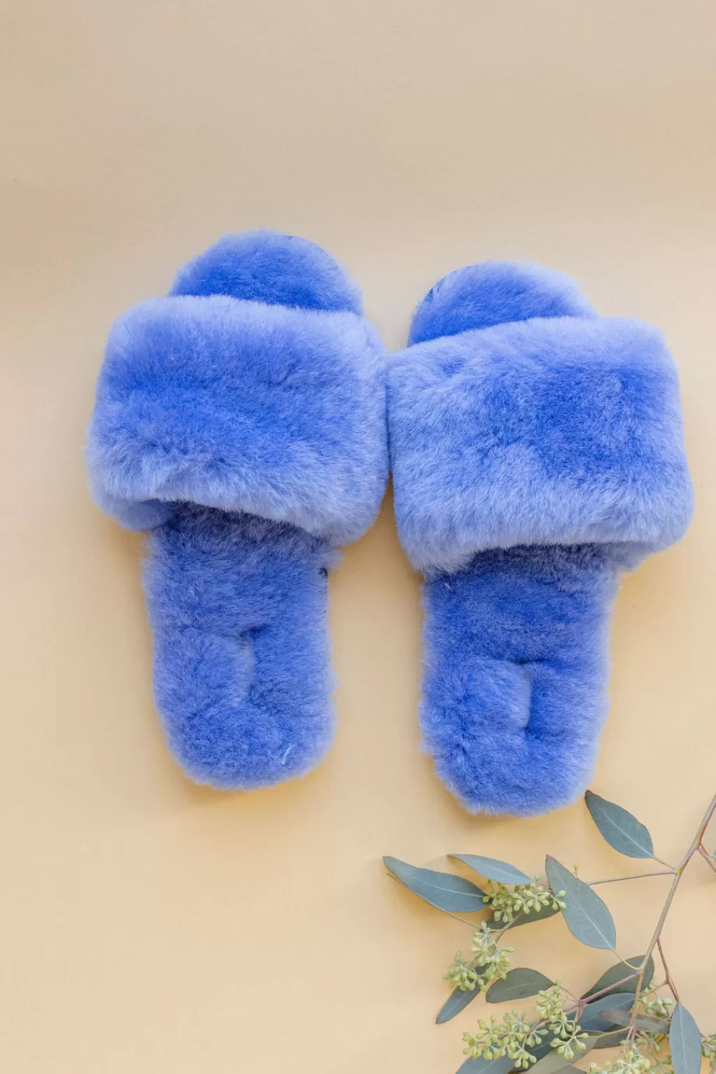 Best Casa Clara Frankie Slipper Periwinkle