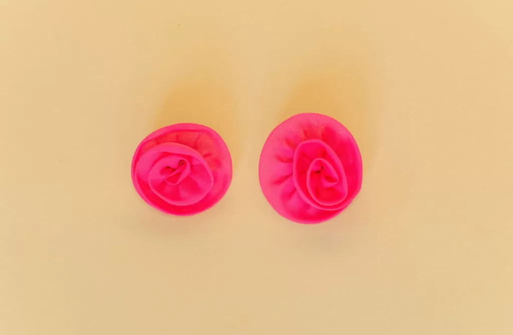 Cheap Casa Clara Rosette Earring Pink